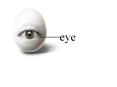 eye PowerPoint PPT Presentation