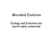 Microbial Evolution
