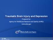 Traumatic Brain Injury and Depression