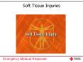 Soft Tissue Injuries PowerPoint PPT Presentation