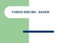FUSION SNECMA - SAGEM PowerPoint PPT Presentation