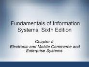 Fundamentals%20of%20Information%20Systems,%20Sixth%20Edition