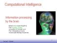 Information processing by the brain PowerPoint PPT Presentation