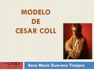 MODELO DE CESAR COLL