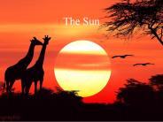 The Sun