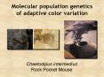 Molecular population genetics of adaptive color variation PowerPoint PPT Presentation