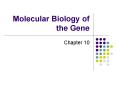 Molecular Biology of the Gene PowerPoint PPT Presentation