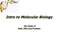 Intro to Molecular Biology  the study of DNA, RNA and Proteins PowerPoint PPT Presentation