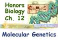 Honors Biology   Ch. 12 PowerPoint PPT Presentation
