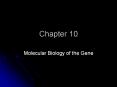 Molecular%20Biology%20of%20the%20Gene PowerPoint PPT Presentation