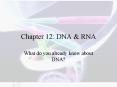 Chapter 12: DNA PowerPoint PPT Presentation