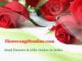 Buy/Send Red Rose Flowers and Valentine Gifts Online in India - Flowersngiftonline