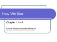 How We See PowerPoint PPT Presentation