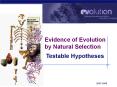 Evidence of Evolution by Natural Selection PowerPoint PPT Presentation