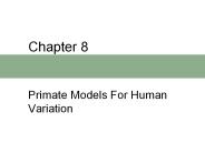 Primate%20Models%20For%20Human%20Variation