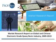Electronic Grade Epoxy Resin Industry 2019