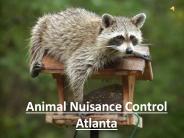 Animal Nuisance Control Atlanta