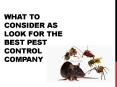 What to Consider as look for the best pest control company PowerPoint PPT Presentation
