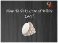 How To Take Care of White Coral Gemstone PowerPoint PPT Presentation