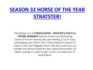 Virtual Horse Racing Games (1)