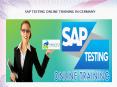 sap testing online training in germany PowerPoint PPT Presentation
