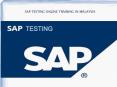 sap testing online training in malaysia PowerPoint PPT Presentation