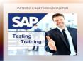 sap testing online training in singapore PowerPoint PPT Presentation