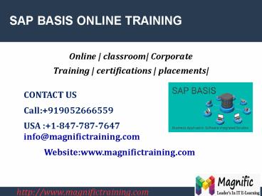 SAP BASIS ONLINE TRAINING IN USA|UK