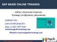 SAP BASIS ONLINE TRAINING IN CANADA|SOUTH AFRICA PowerPoint PPT Presentation