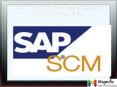 sap scm onine training in south africa PowerPoint PPT Presentation