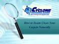 How to Steam Clean Your Carpets Naturally PowerPoint PPT Presentation
