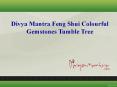 Divya Mantra Feng Shui Colourful Gemstones Tumble Tree PowerPoint PPT Presentation