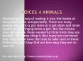 voices4animals.org PowerPoint PPT Presentation