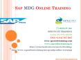 sap mdg online training in usa | sap mdg online training in uk,australia,canada PowerPoint PPT Presentation