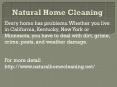 naturalhomecleaning.net PowerPoint PPT Presentation