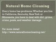 naturalhomecleaning.net