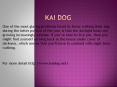 kaidog.net PowerPoint PPT Presentation