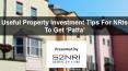 Useful Property Investment Tips For NRIs To Get Patta PowerPoint PPT Presentation