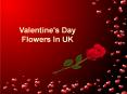 Valentine's Day Flowers In UK PowerPoint PPT Presentation