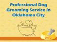 Know About The Professional Dog Grooming Service in Oklahoma City PowerPoint PPT Presentation