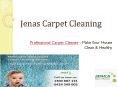 Professional Carpet Cleaners - Make Your Home Clean & Healthy PowerPoint PPT Presentation