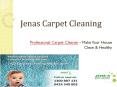 Professional Carpet Cleaners - Make Your Home Clean & Healthy (1) PowerPoint PPT Presentation