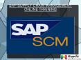 SAP SCM onine traning in UK PowerPoint PPT Presentation