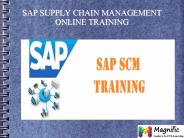 SAP SCM online training Maaysia