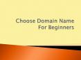 Choose Domain Name For Beginners PowerPoint PPT Presentation