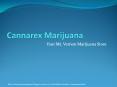 Hidden Benefits of Marijuana PowerPoint PPT Presentation