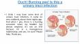 Ouch! Burning pee! Is this a urinary tract infection ( Treatment ) PowerPoint PPT Presentation