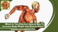 Which Is The Effective Natural Way To Increase Body Weight And Muscle Mass? PowerPoint PPT Presentation