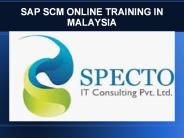 sap scm online trainingin malaysia
