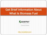 Get Brief Information About What Is Biomass Fuel